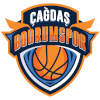 https://img.caf2.com.cn/img/basketball/team/8b1e25c5d2bd93d0accfbaba14185f05.png