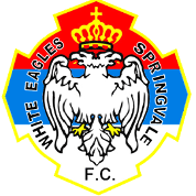 https://img.caf2.com.cn/img/football/team/7d9fa0492996f51104cafced273b05ec.png