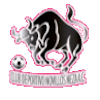 https://img.caf2.com.cn/img/football/team/97c3ef30cac48cadff97605e387feefa.png