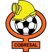 https://img.caf2.com.cn/img/football/team/a5e650365ee5c40efb649bf12015eb6d.png